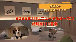 【犬連れ旅　伊豆長岡】小松屋　八の坊　2026年1月リニューアルオープンopenした111号室へ..部屋が居心地良すぎて飲みまくり（いつもの事ｗ）アンジー、ボールランチャーカンスト！エマ2歳バースデー
