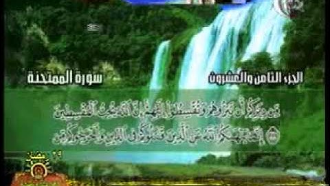 الشيخ محمد حسان سورة الممتحنة
