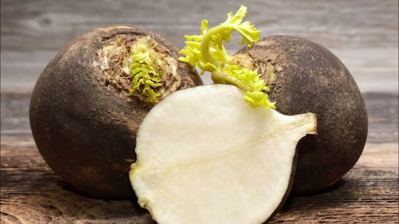 Как используют редьку. Редька чернавка. Как используют редьку. Редька с маслом. Редька в разрезе.