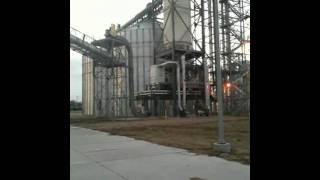 IMG 0095