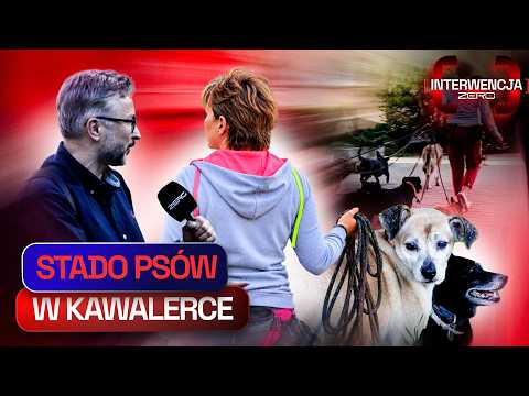 25 PSÓW, KAWALERKA I BEZRADNI SĄSIEDZI | INTERWENCJA ZERO