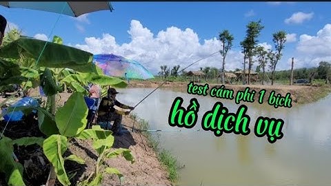 test cám phi 1 bịch tổng hợp hồ câu dịch vụ