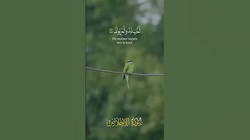 سورة الإخلاص بصوت القارئ الشيخ اسلام صبحي اجمل صوت قرآن كريم اسلام صبحي 