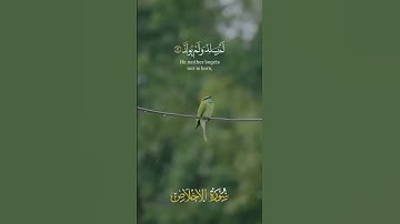سورة الإخلاص بصوت القارئ الشيخ اسلام صبحي اجمل صوت#قرآن_كريم #اسلام_صبحي