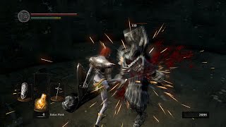 Dark Souls - Learning how to Parry with kind Sir Havel The Rock