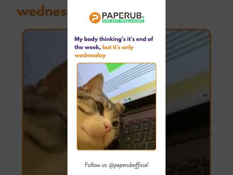 When It's Only Wednesday and You're Already Exhausted 😩 | Cat Meme Mood