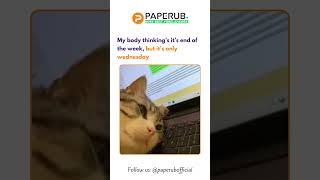 When It's Only Wednesday and You're Already Exhausted 😩 | Cat Meme Mood