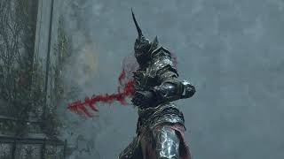 Demon's Souls Penetrator defeated with firestorm