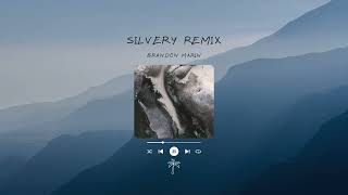 Novo Amor \u0026 Lowswimmer - Silvery (Brandon Marin Remix) (Tropical House Remix)