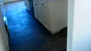 MVI_0817[1]