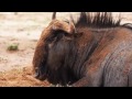 !Xaus Lodge in the Kgalagadi Transfrontier Park