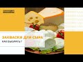 Закваска для сыра: как выбрать и где искать