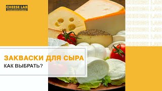 Закваска для сыра: как выбрать и где искать