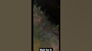 biggest snake 🐍 caught in camera #creature #mysterious #shortsfeed