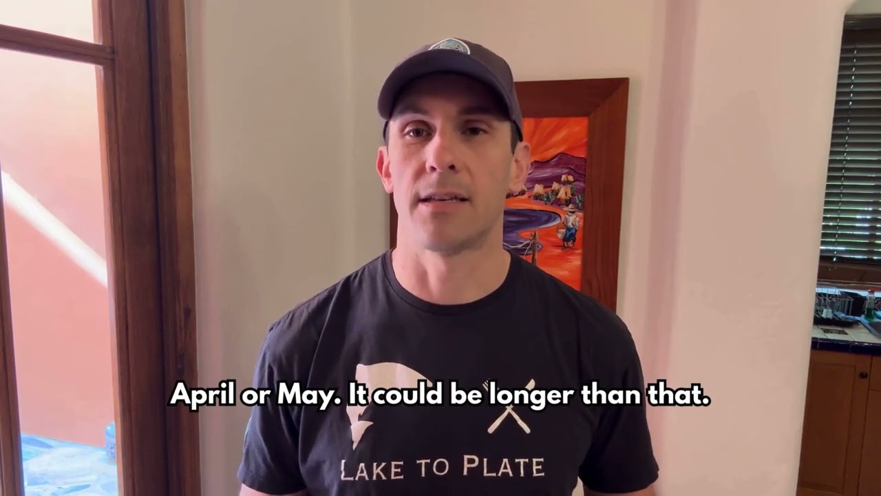 Обновления BCWF: неделя с 29 января 2026 года