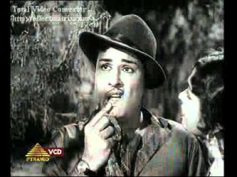 Ranker Video