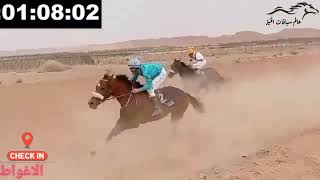 سباق الخيل ليوم 03/06/2022 المخصص للخيول الانجليزية المولودة في الجزائر.