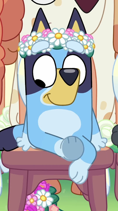 Bluey: The Sign - The Wedding of the Year! 💙 | Bluey  #ytshorts