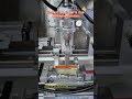 Pre-made Bag Seed Vacuum Packaging Machine | Agricultural Freshness Packing Expert