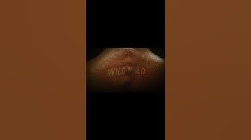 Thumbnail of WILD WILD Album 【BOILER ROOM】 Official Teaser