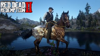 Domei o APPALOOSA Leopardo Com Manto NO- RED DEAD REDEMPTION 2