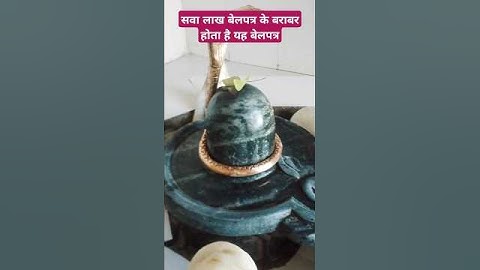 सवा लाख बेलपत्र के बराबर होता है यह बेलपत्र#shortvideo#upay#mahadev#pardeepmishra#shivpuran