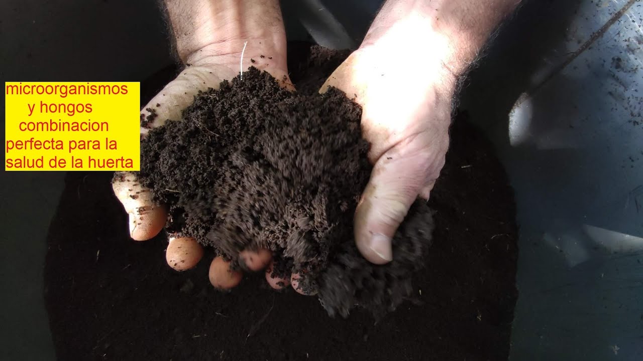 COMO PREPARAMOS HUMUS CON LOMBRICES.