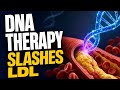 DNA Therapy Slashes LDL Without Statins