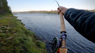 My Goto Salmon Fly Next Time There Will Be Fog  Catch & Tie