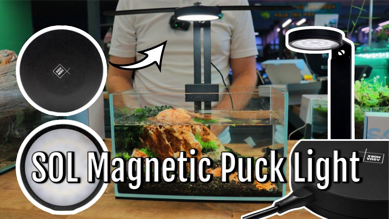 Amazing New Magnetic Planted Aquarium Puck Light from 
