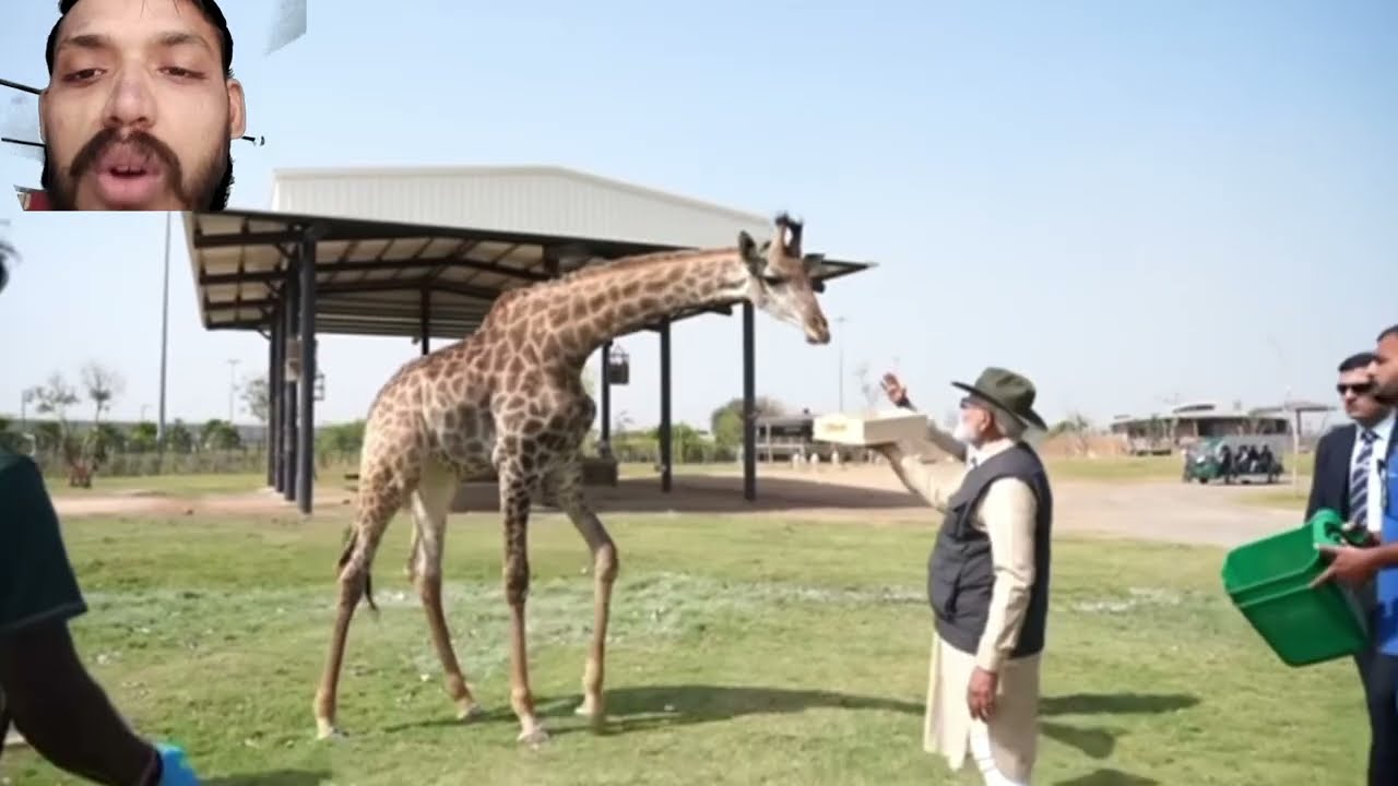 जब PM Modi पहुँचे जानवरों के बीच | PM Modi Wildlife Visit | Nature Protection