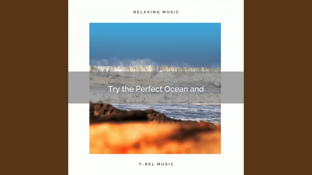 Into the Calm Ocean and Relax with Bird Tweets