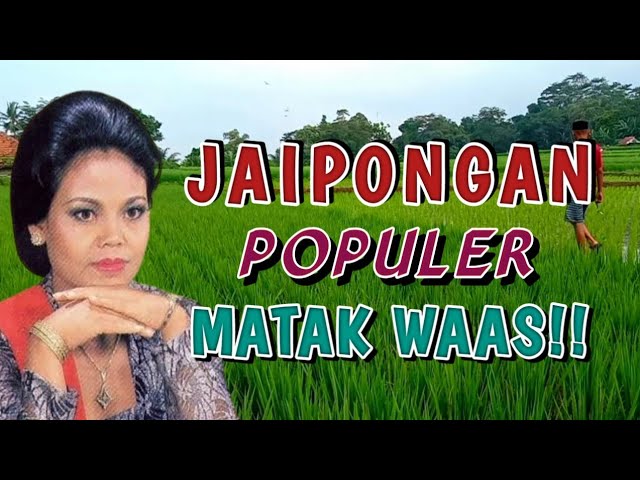 Full Album Jaipong Kombinasi Maestro Jaipong - Cicih Cangkurileung - Jaipongan Lawas Populer class=