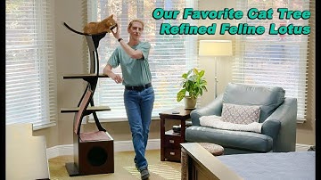 Refined Feline Lotus Cat Tree