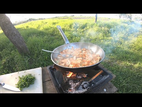 Видео: Пошел в лес на Пасху. Готовлю гриб трутовик серно-желтый