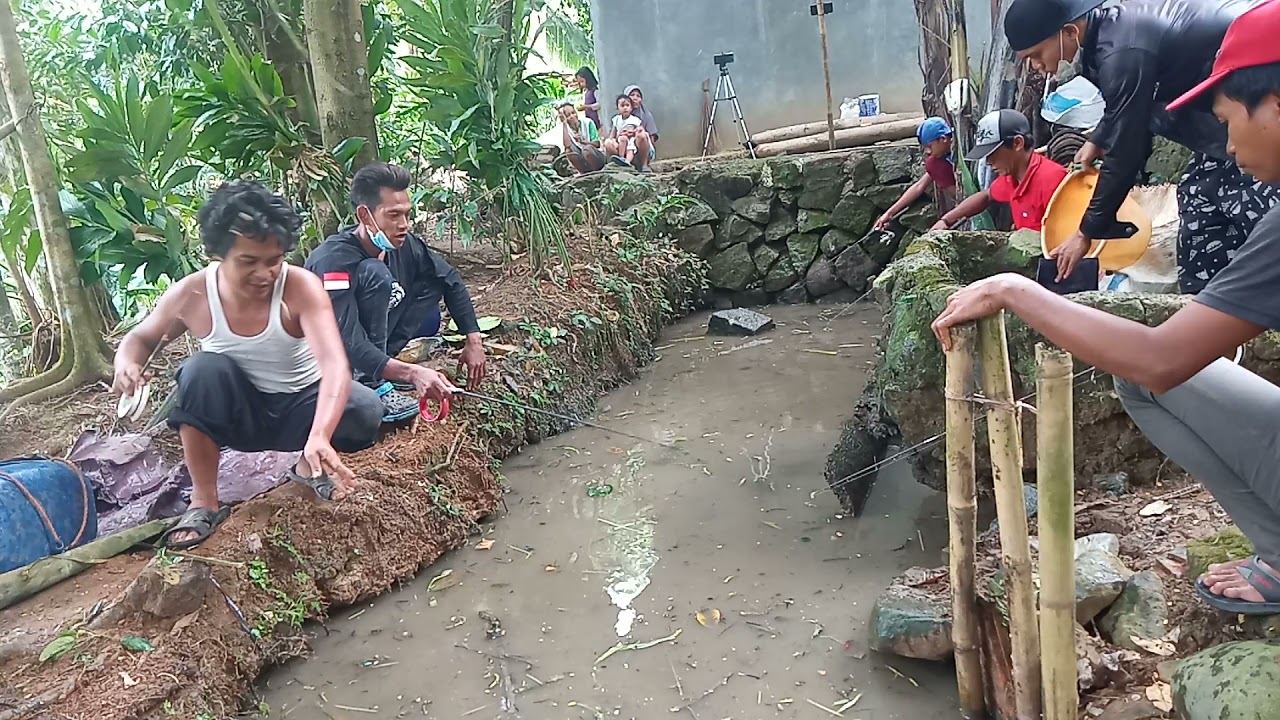 mancing cekrik tanpa umpan, borongan 1,5 jt.lele babon semua.