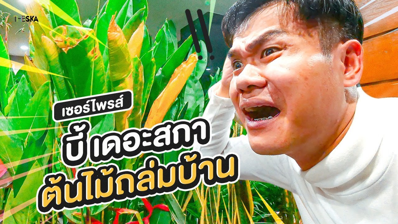 เซอร์ไพรส์​พี่บี้ด้วยต้นไม้ถล่มบ้าน