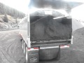 Trout River Shuttle Floor - Coal