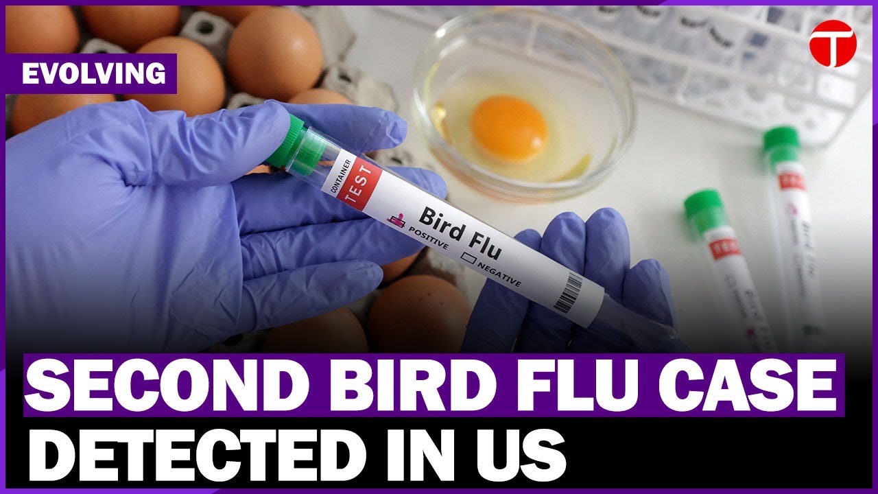 Second Human Case of Bird Flu Confirmed in the US | Breaking News - YouTube