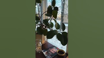 Programming is not hard, you are too soft. Keep going!