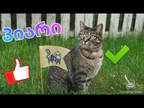 ბოლო პიარი