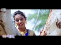 मंजू साहू | Manju Sahu | Cg Song | Maya He Maya He | New Chhattisgarhi HD Video Geet 2019 | AVMGANA Mp3 Song