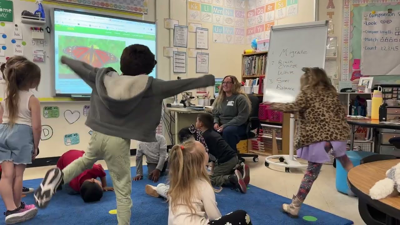 LICL 531 - Formal Observation