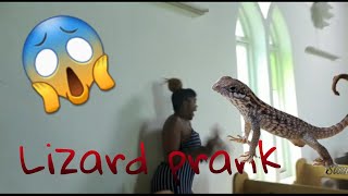 Lizard prank 🦎 on sis-in-law and cousin*very funny*🤣