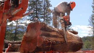 In All My Years of Sawmilling I’ve Never Seen Anything Like This | Ancient Cedar Log by Pure Living for Life 61,059 views 11 months ago 12 minutes, 41 seconds