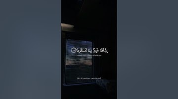 سورة الحشر - الآيات 18-19 - تلاوة أحمد خليل شاهين