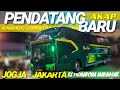 GEBRAKAN BARU SANT GOLD JOGJA - JAKARTA 🔥🔥 || EX PRIMADONA SULAWESI || SCANIA K310 IB