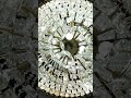 VORELLI® x Crystal