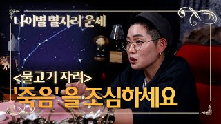 나이별 별자리 운세 '물고기 자리', 위험한 날이 올 수 있다!