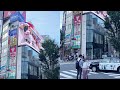 Giant 3D Cat Digital Billboard in Tokyo, Japan || WooGlobe